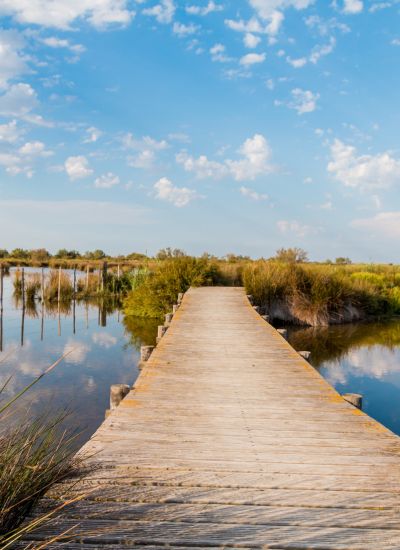 Camargue